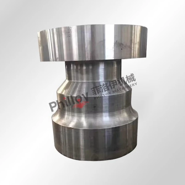 Stainless steel forging